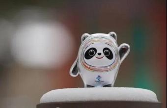 “冰墩墩”、、“雪容融”商标也抢手，，，，已被成功注册！！！